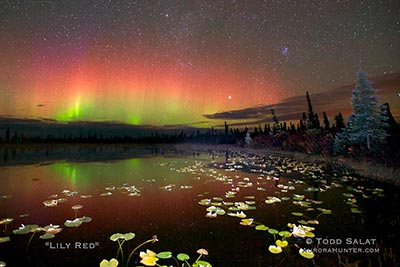 Sept. 13, 2012 at 11:50 pm. Lake Louise, Alaska. Milky Way galaxy and red auroras. Lily pads lit with flashlight. 20-sec exposure reveals a lot!