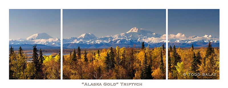 Alaska Gold Triptych