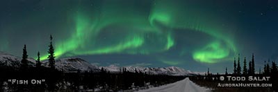 Fish on!  Auroras leap over the Alaska Range from the Denali Highway east of Cantwell.