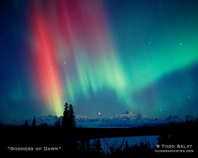 I couldnt believe my eyes when, out of the deep blue skies, a towering curtain of red and teal northern lights developed over Mt. McKinley