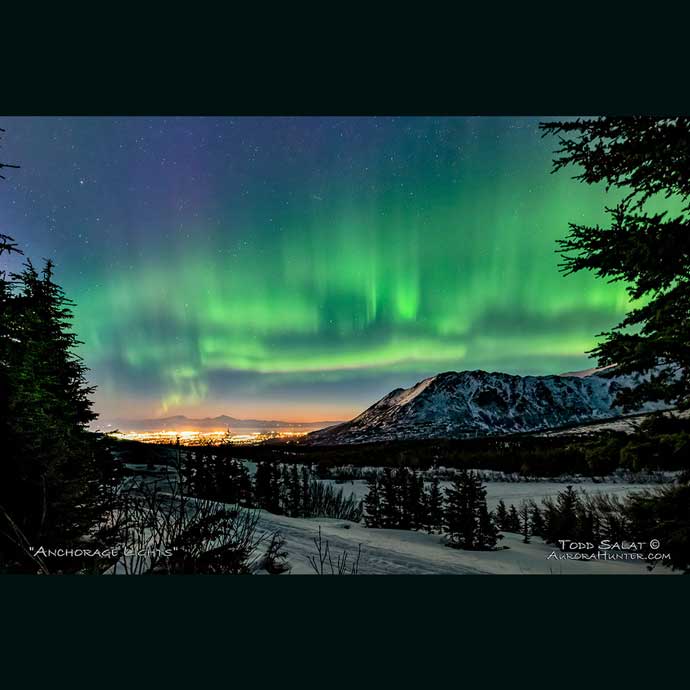 Anchorage Lights